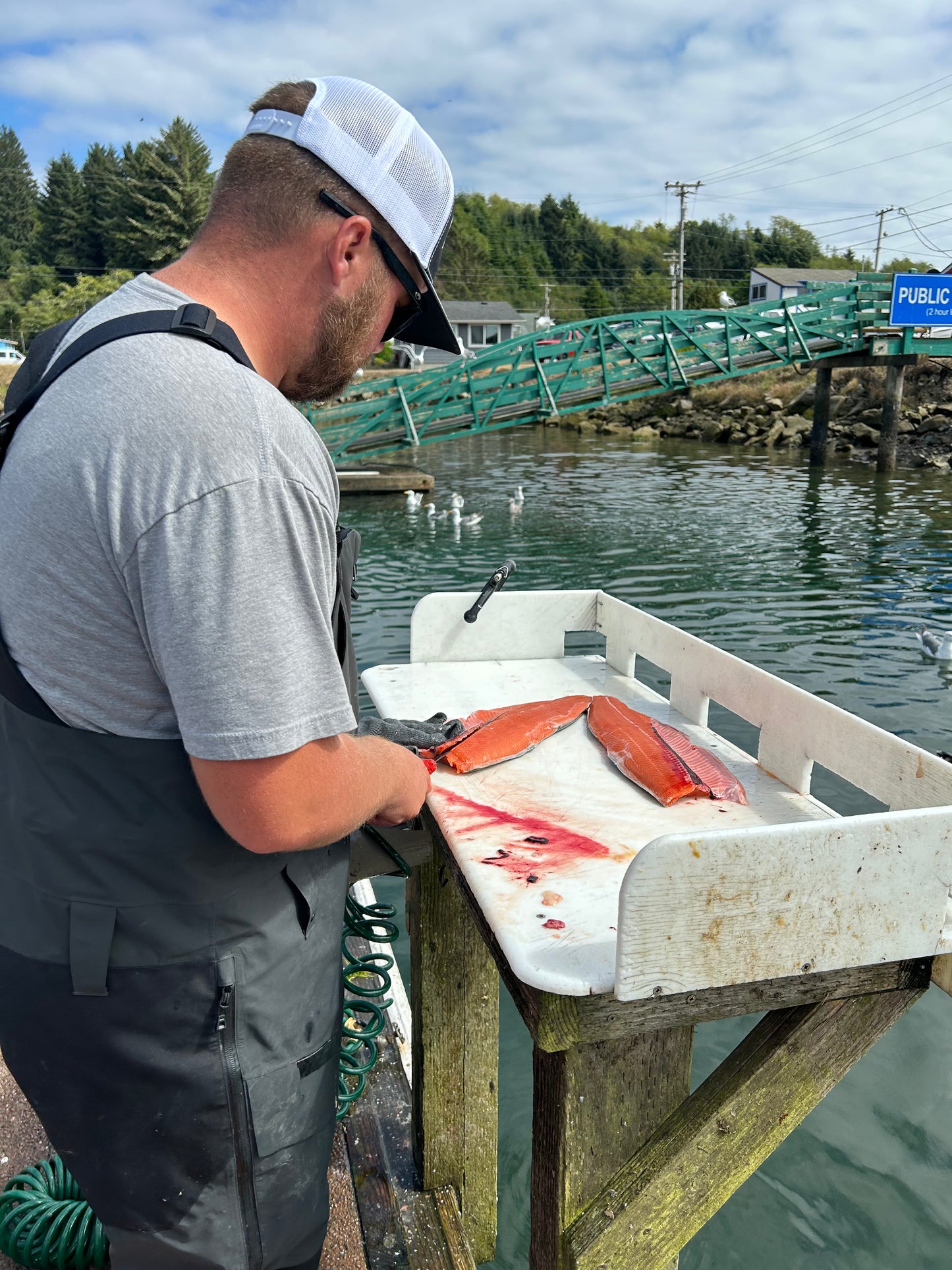 Salmon Fishing
