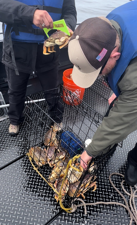 Dungeness Crab Fishing