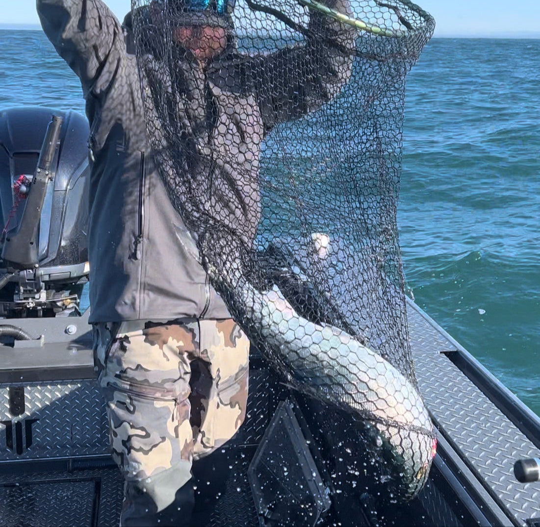 Salmon Fishing