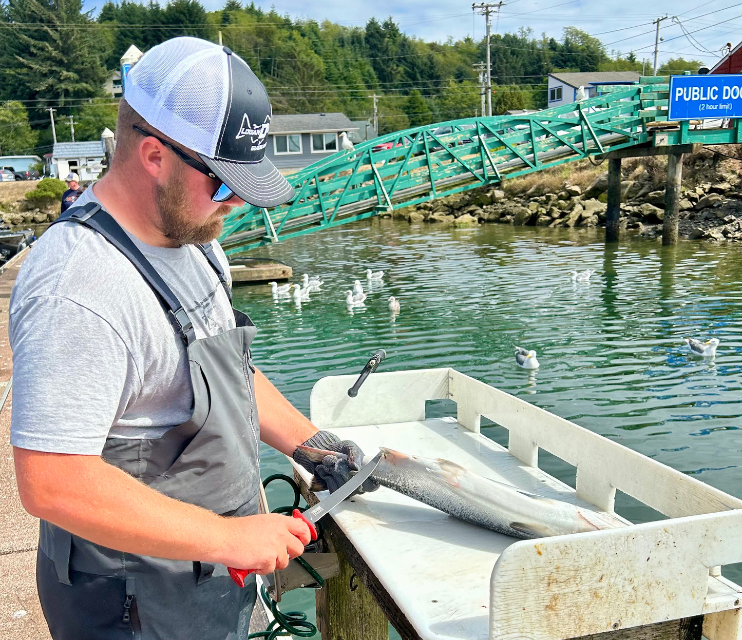Salmon Fishing