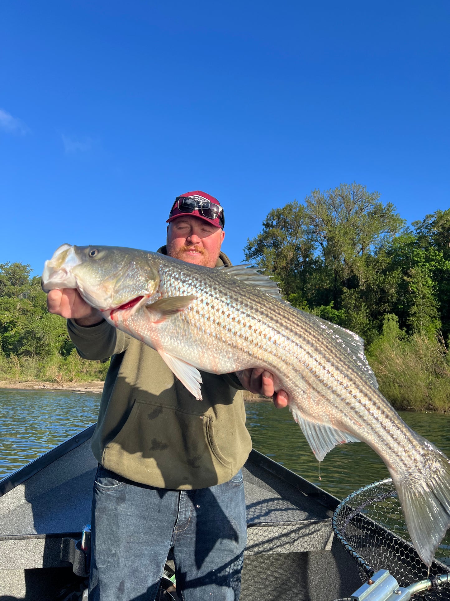 Striped Bass Trips