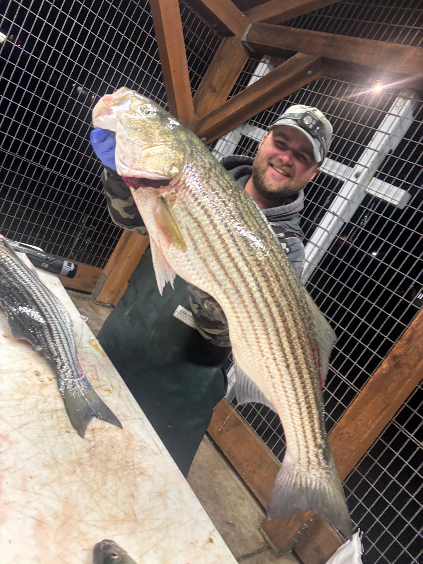 Striped Bass Trips