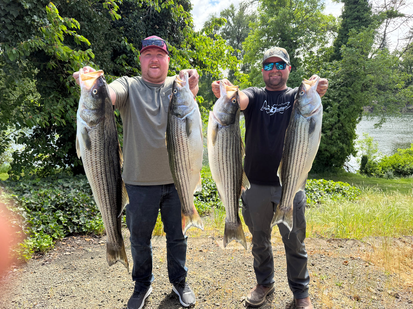 Striped Bass Trips