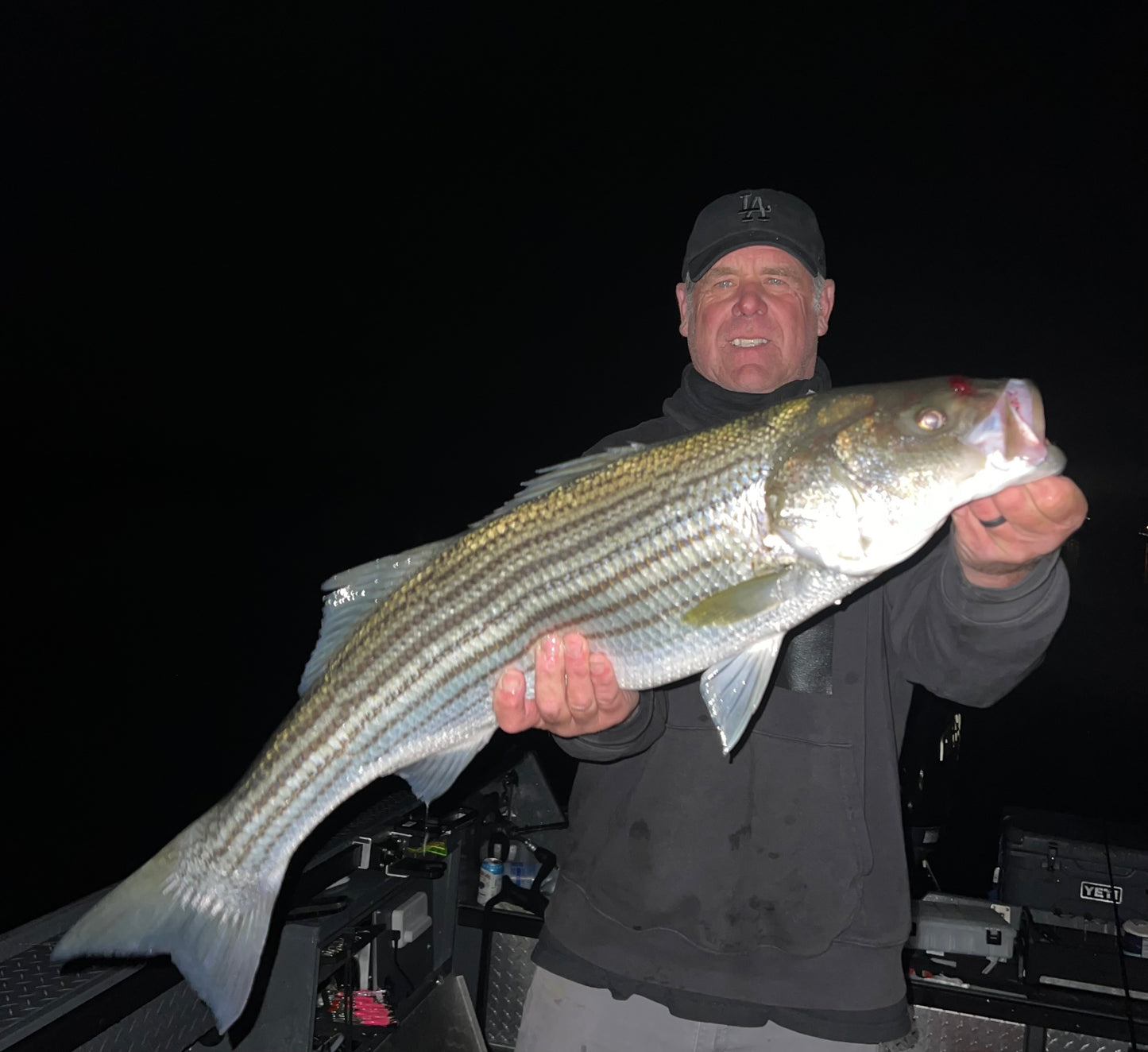 Striped Bass Trips