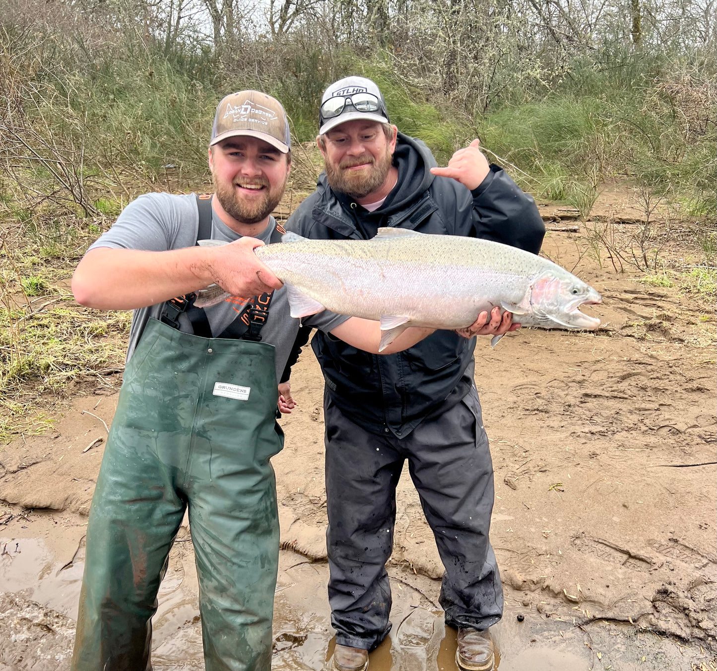 Winter Steelhead Trips