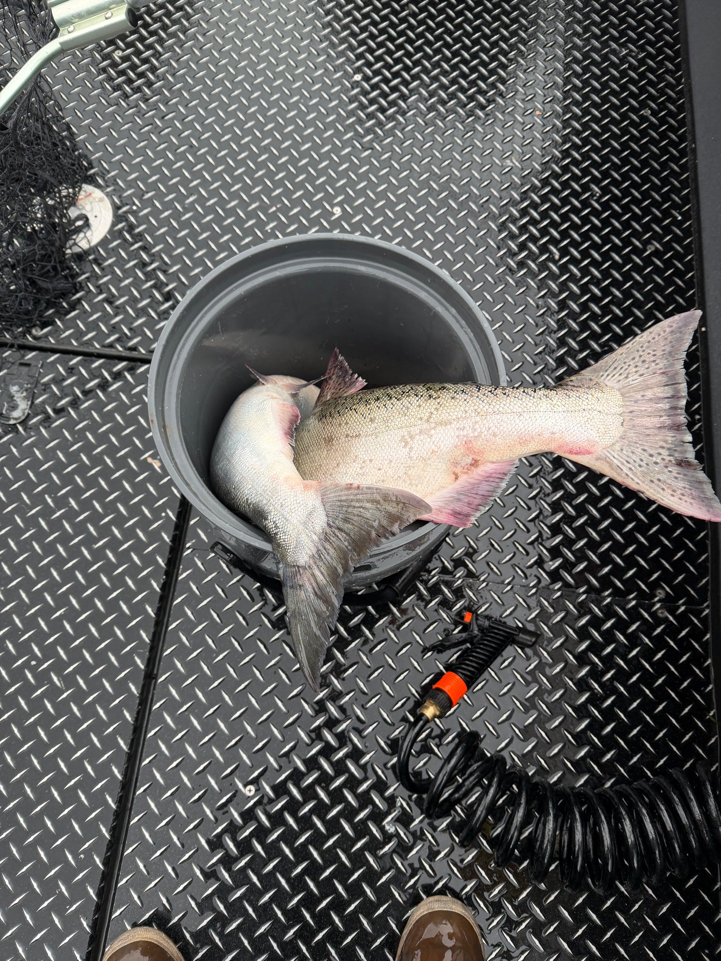Buoy 10 August Salmon Fishing