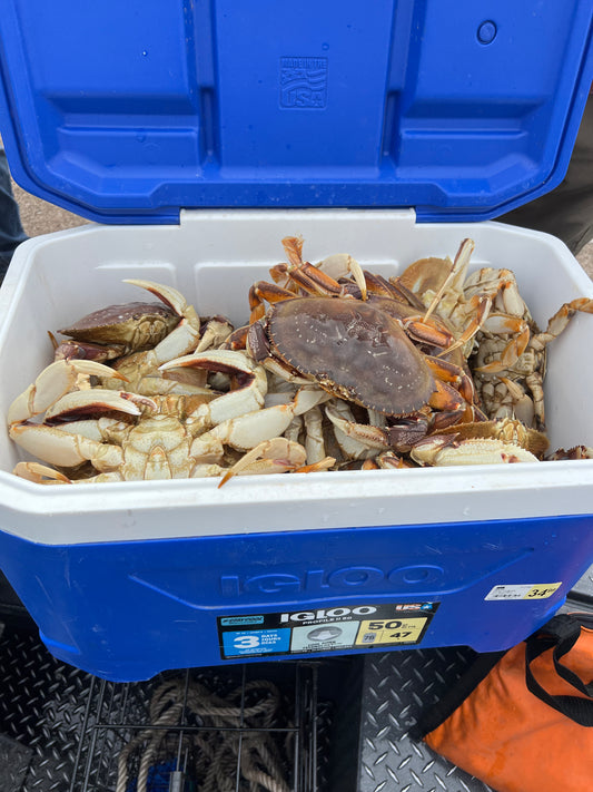 Dungeness Crab Fishing