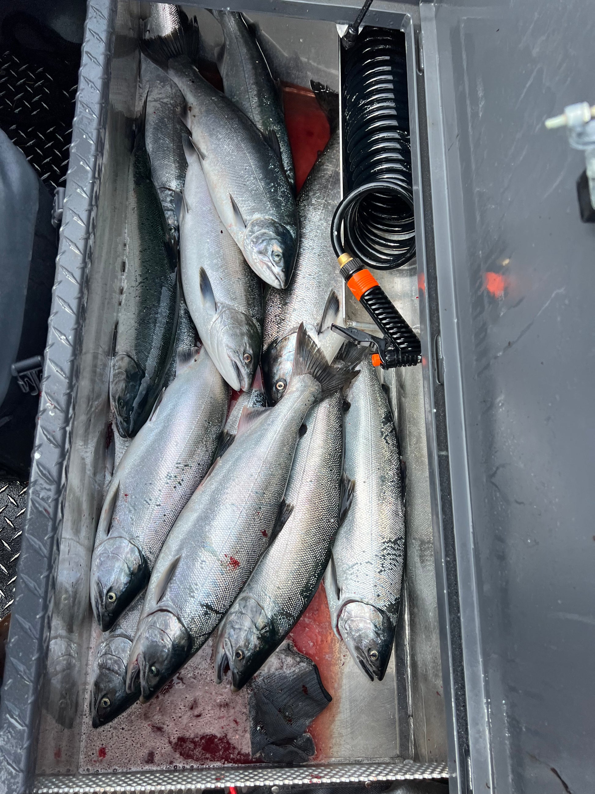 salmon fishing oregon