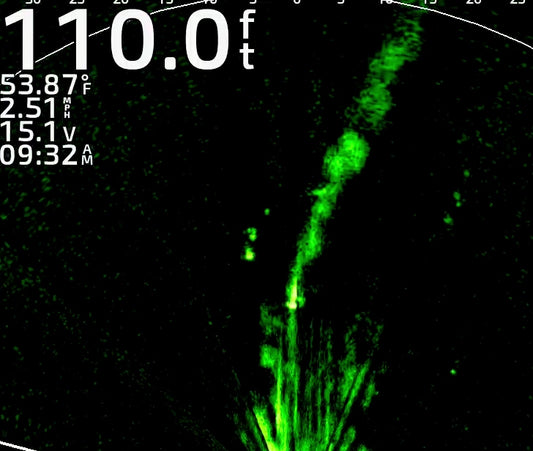 Forward Facing Sonar Trips.